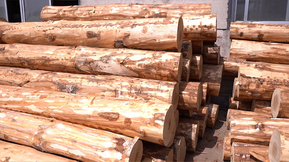 Raw Material Selection